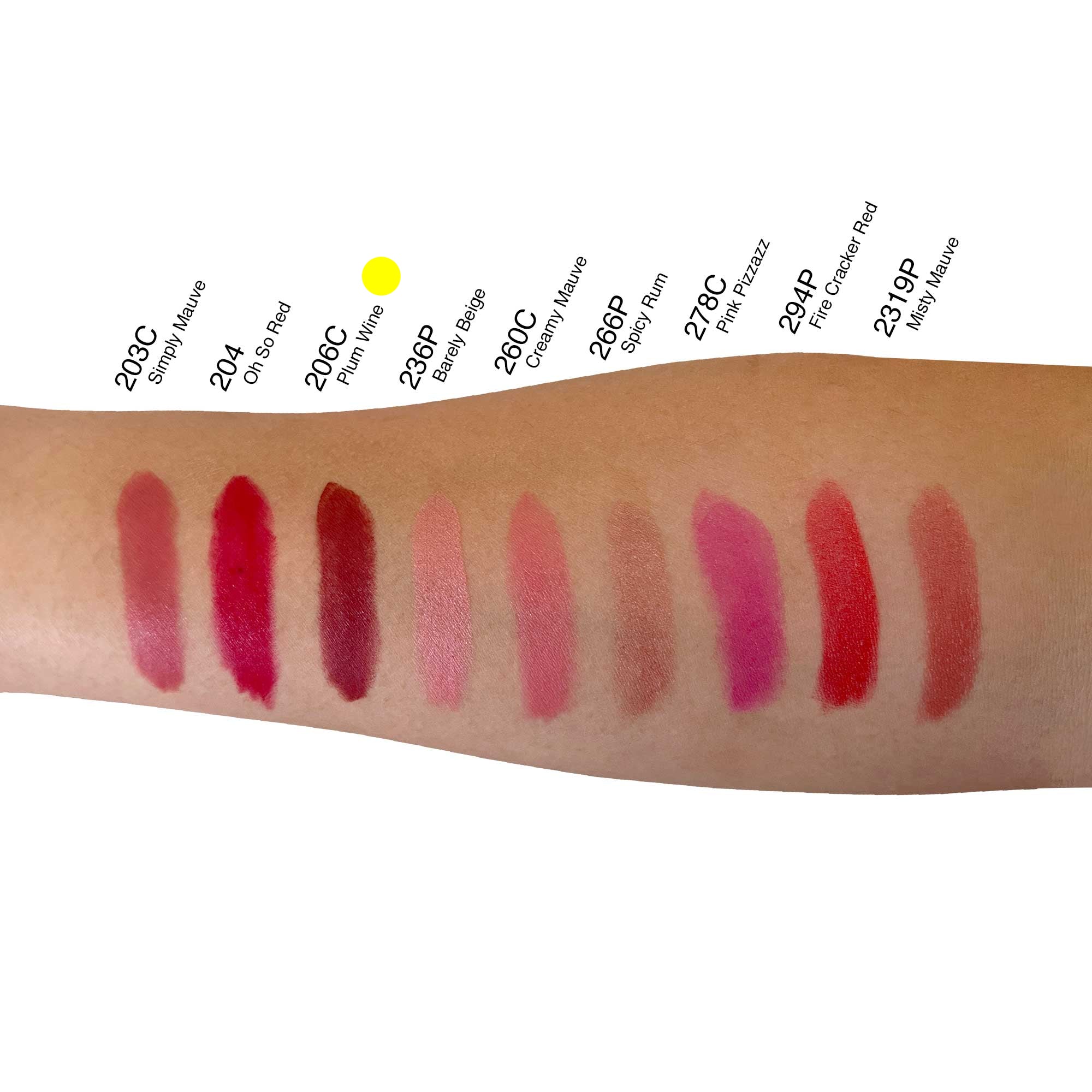 Rich plum wine lipstick swatch on neutral background